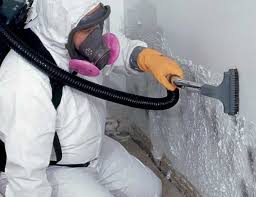 Mold Remediation for Rental Properties in Ontonagon, MI